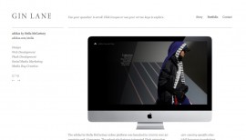 Gin Lane Media