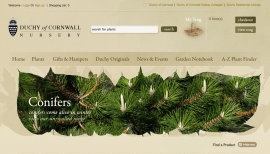 Duchy of Cornwall Nursey